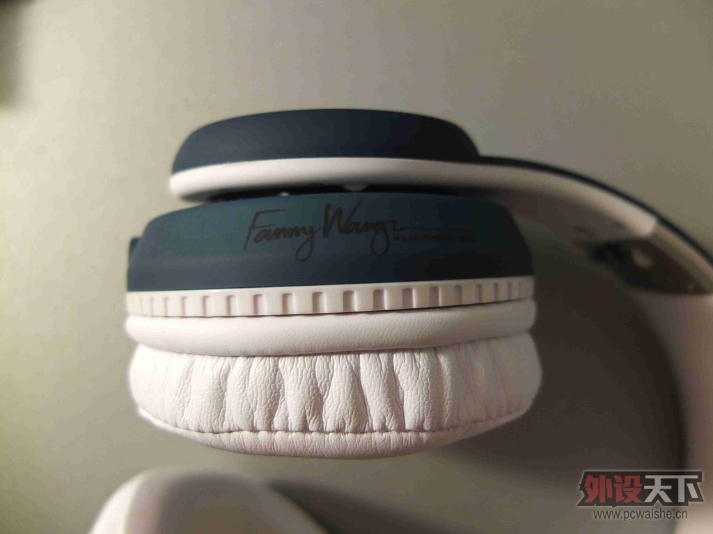 I'm audio-guy ��������fanny wang�콢