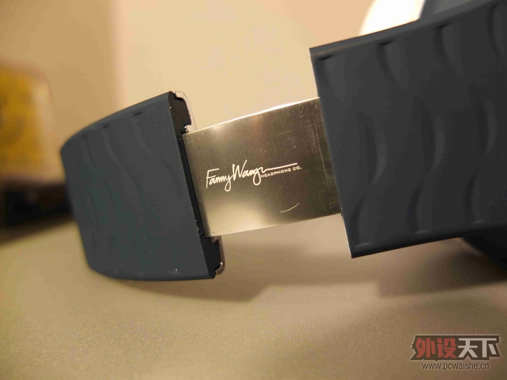 I'm audio-guy ��������fanny wang�콢