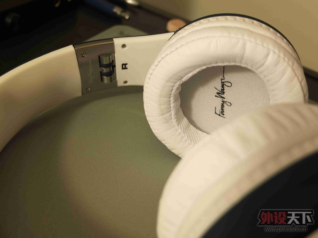 I'm audio-guy ��������fanny wang�콢