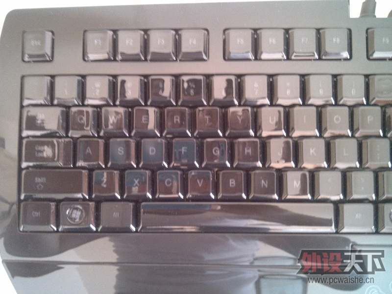 IMG_20121012_111655.jpg