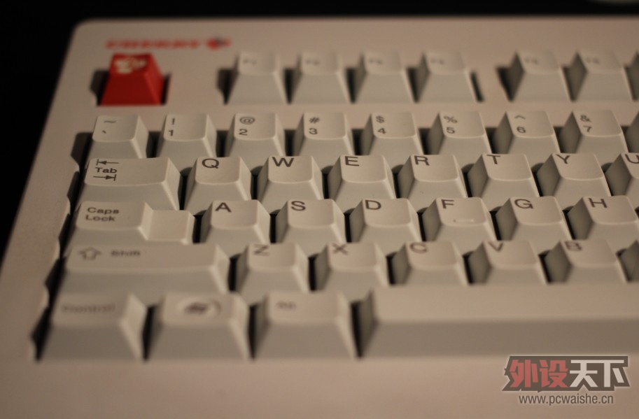555.jpg