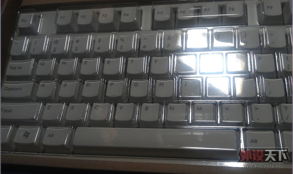 ����µĵȴ���Filcoʥ��һ����ɫ��������--Թ����~