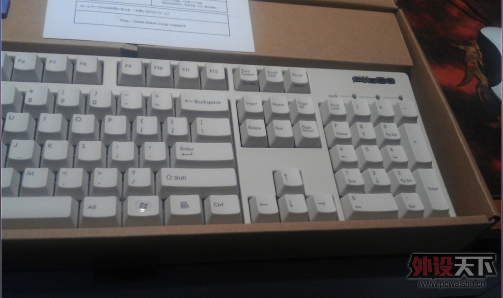 ����µĵȴ���Filcoʥ��һ����ɫ��������--Թ����~