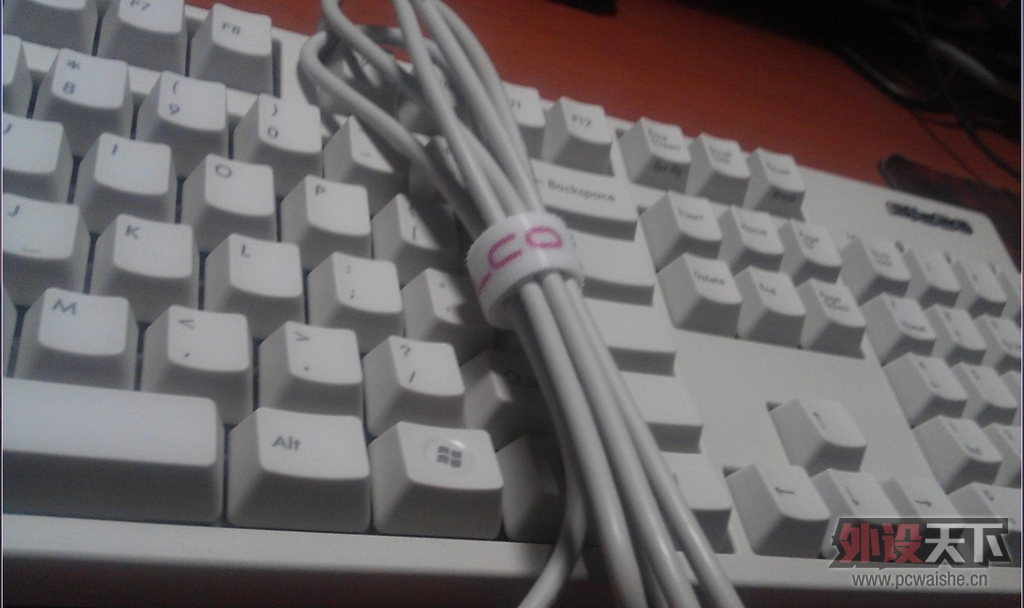 ����µĵȴ���Filcoʥ��һ����ɫ��������--Թ����~