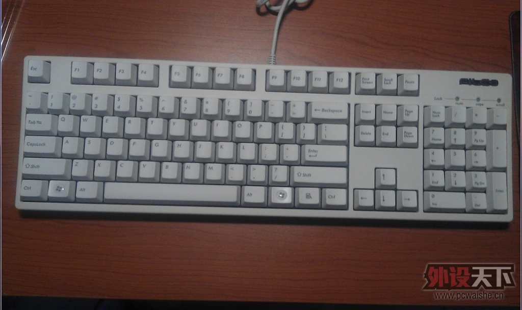 ����µĵȴ���Filcoʥ��һ����ɫ��������--Թ����~
