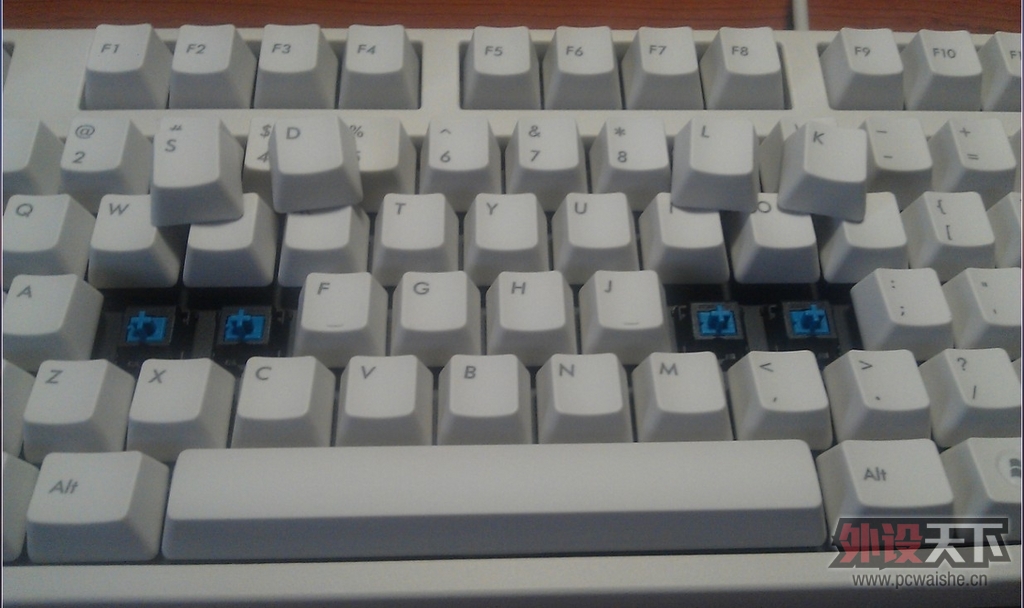����µĵȴ���Filcoʥ��һ����ɫ��������--Թ����~