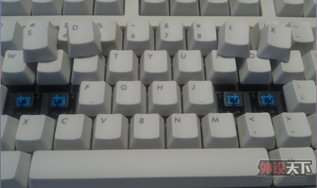 ����µĵȴ���Filcoʥ��һ����ɫ��������--Թ����~