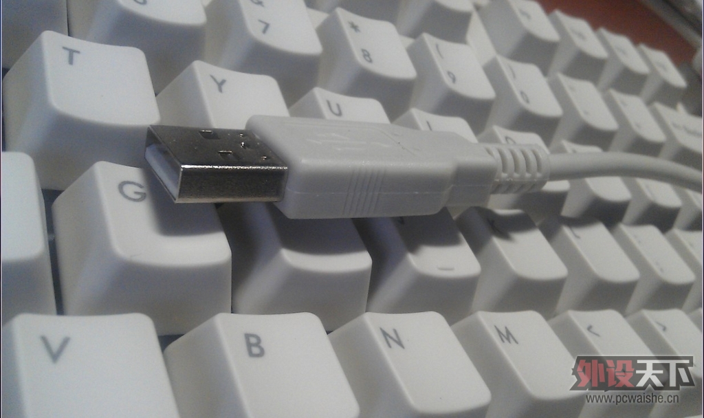 ����µĵȴ���Filcoʥ��һ����ɫ��������--Թ����~