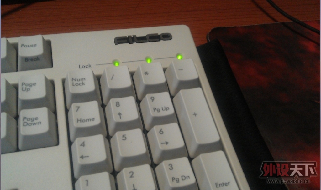 ����µĵȴ���Filcoʥ��һ����ɫ��������--Թ����~