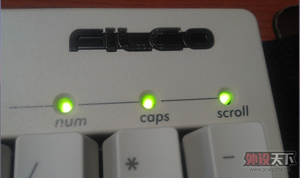 ����µĵȴ���Filcoʥ��һ����ɫ��������--Թ����~