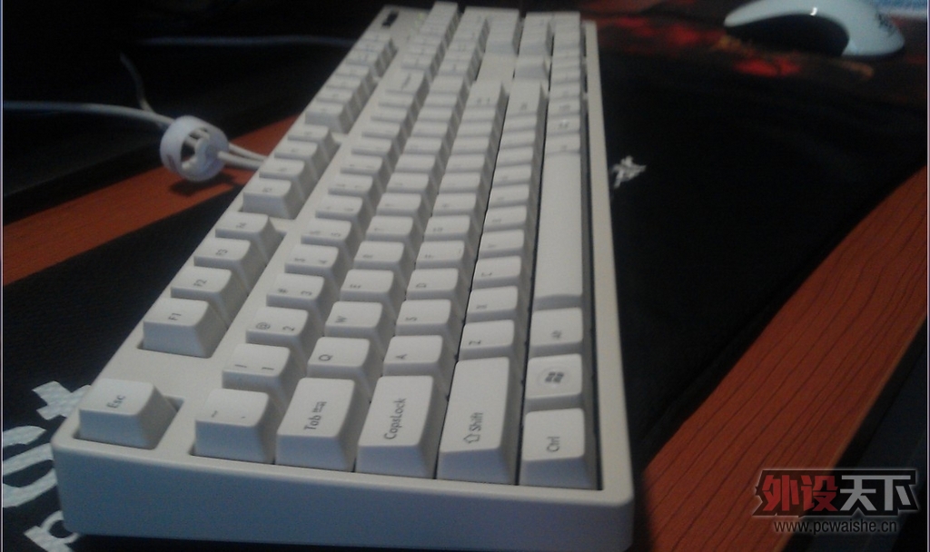 ����µĵȴ���Filcoʥ��һ����ɫ��������--Թ����~