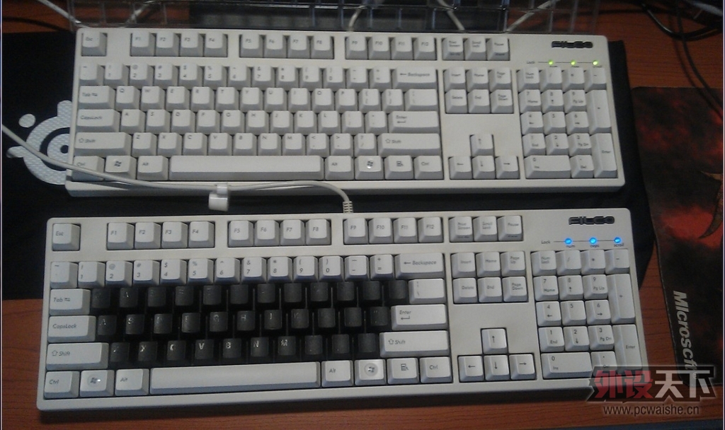 ����µĵȴ���Filcoʥ��һ����ɫ��������--Թ����~