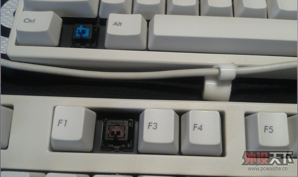 ����µĵȴ���Filcoʥ��һ����ɫ��������--Թ����~