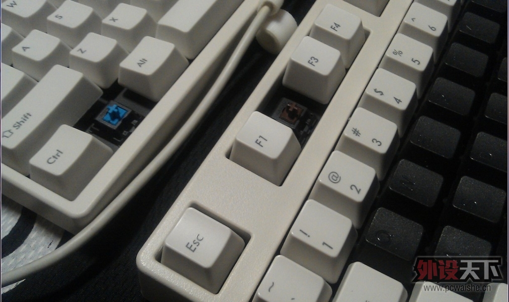 ����µĵȴ���Filcoʥ��һ����ɫ��������--Թ����~