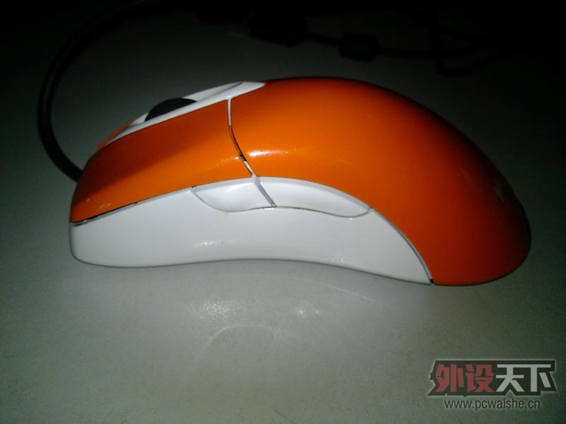 IMG_20121017_094236.jpg