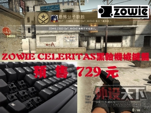 ����Ԥ����һ��ZOWIE�������,MB��������������,Xxxxrisita.