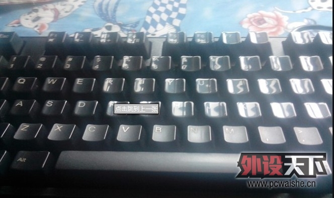 13151902s47r07epu879vu.jpg