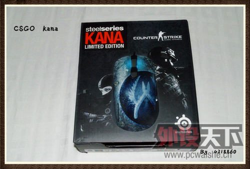 Steelseries Kana [csgo] ϷĽᾧϷгͷ