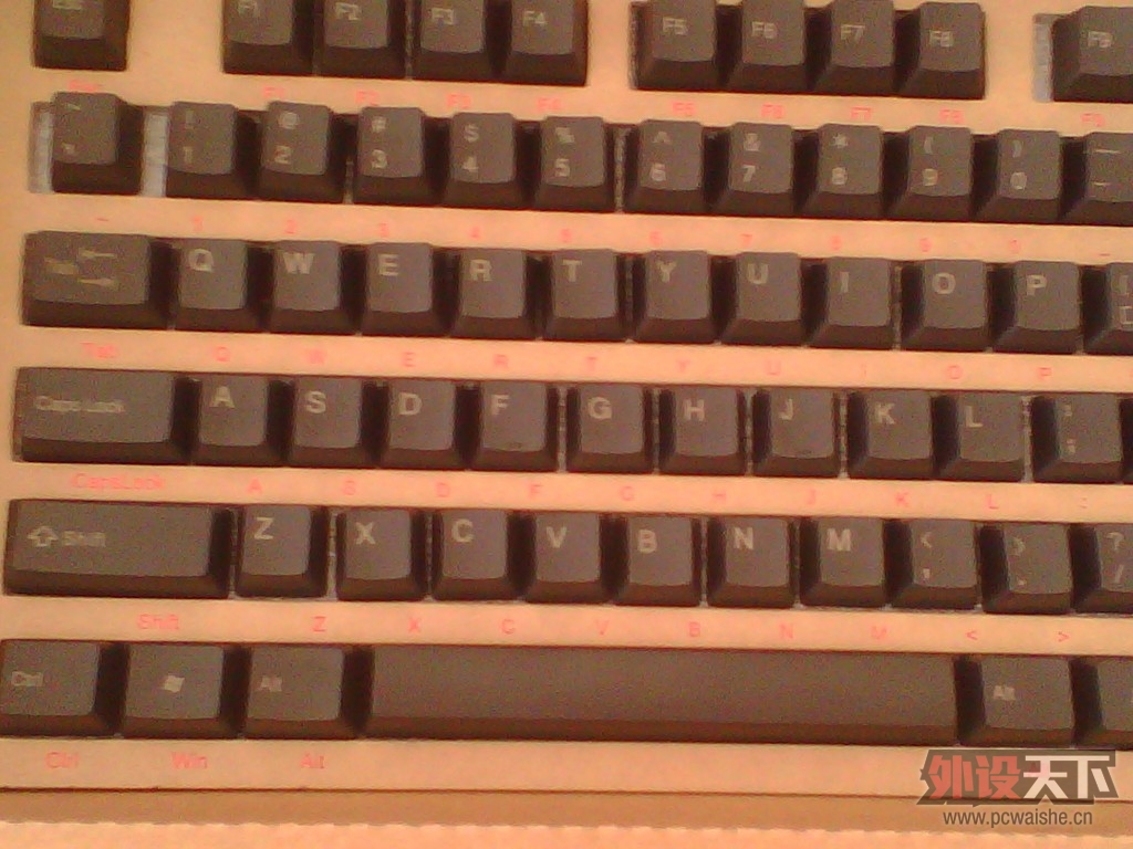 IMG_20121017_130024.jpg