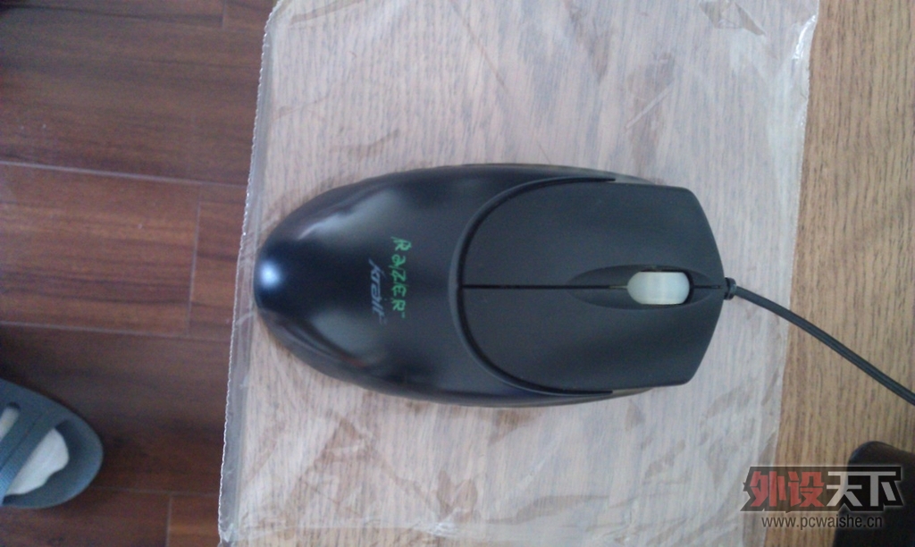 IMAG0534.jpg