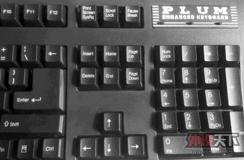 PLUM_4.gif