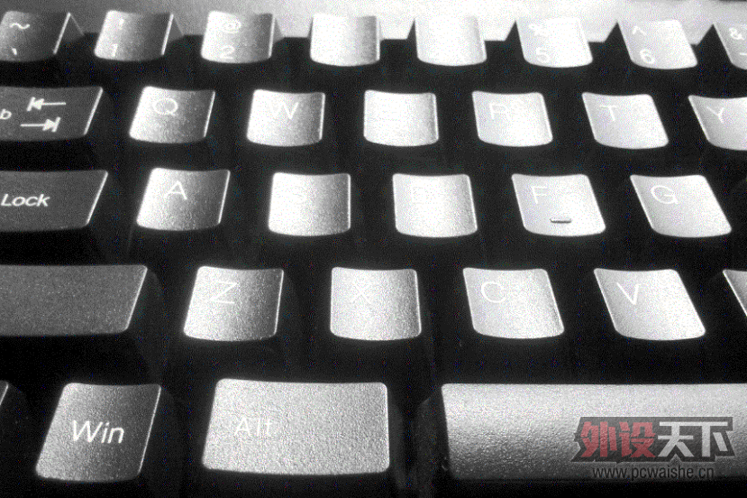 PLUM_5.gif