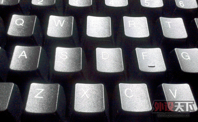 PLUM7.gif