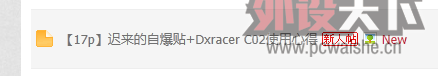 [18P] Ա+Dxracer C02ʹĵ