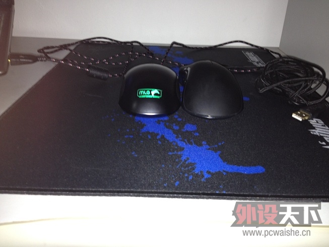 �����sensei mlg����