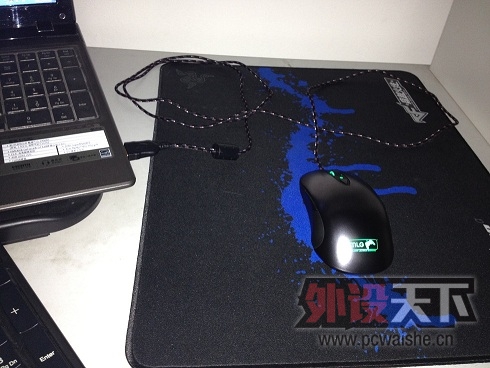 �����sensei mlg����