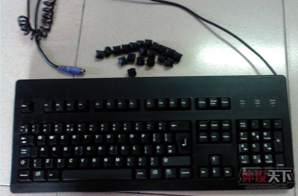 [�㶫]����Cherry G80-3464