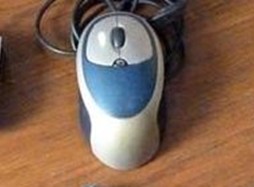 ���ʸ�λ���������޼��ĸ��ͺŵ����???