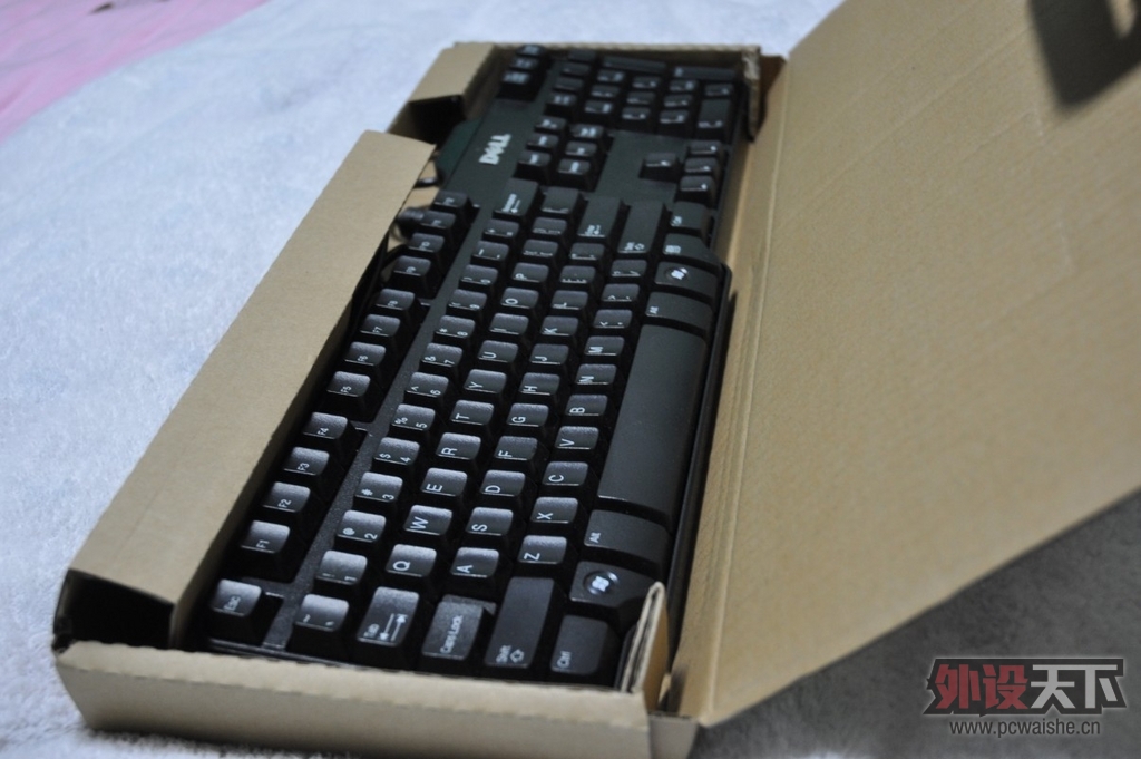 (���)������ȴ���ഺ�������еı�Ĥ����-----SK-8115