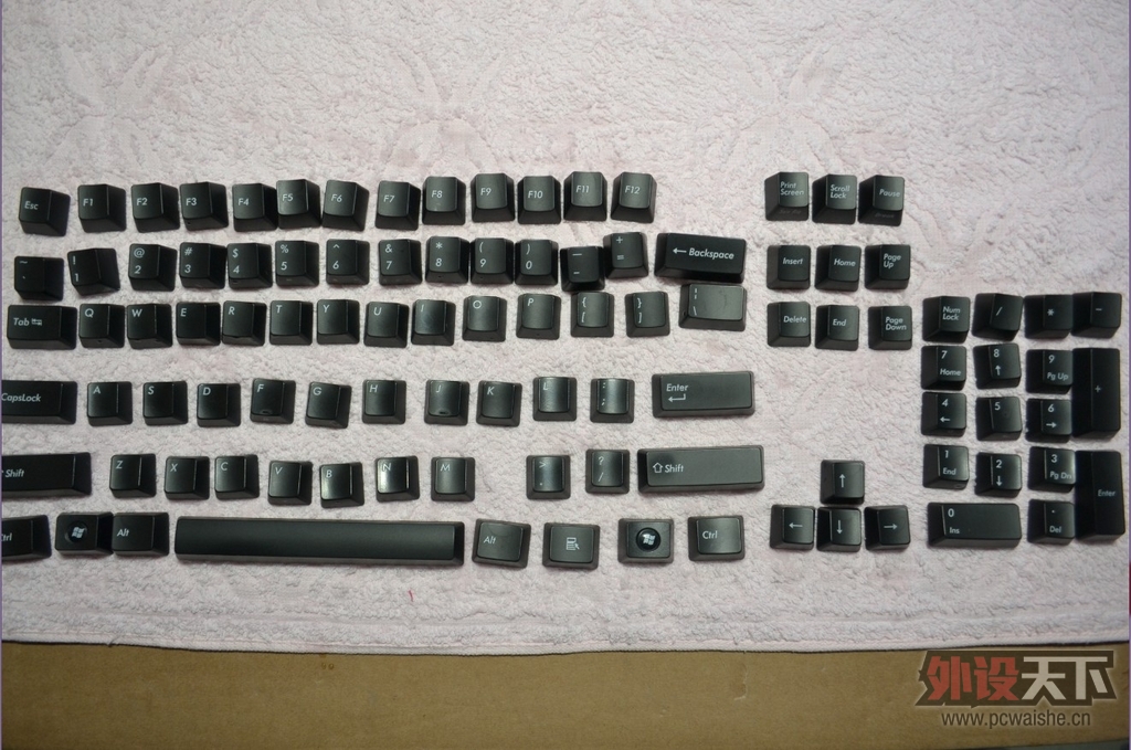 [����]Filcoʥ��2����ɫ���ᣬ��ñ��һ���ɲ���һ�������ģ�650����ñ����