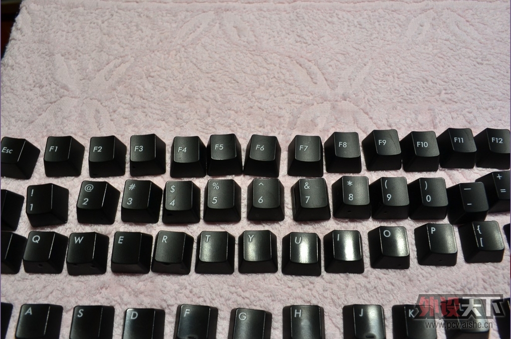 [����]Filcoʥ��2����ɫ���ᣬ��ñ��һ���ɲ���һ�������ģ�650����ñ����
