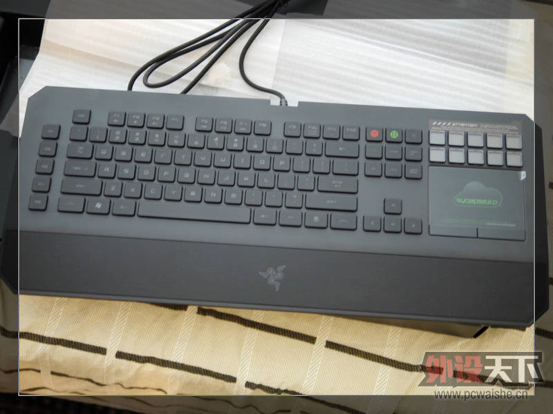 ߸˧---RAZERɻЫռ