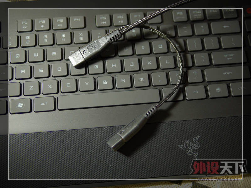 ߸˧---RAZERɻЫռ