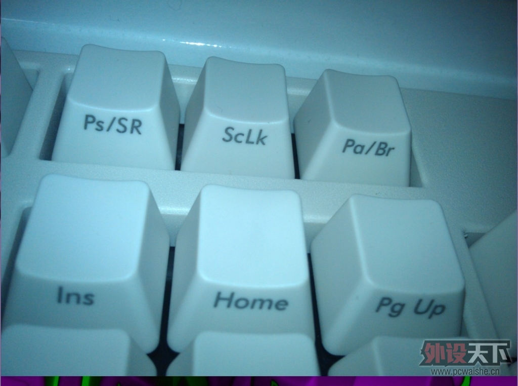 Filco����104����ɫ��������--���һ��û����������ᣬ�����˰׺�ײ������Ӱ~