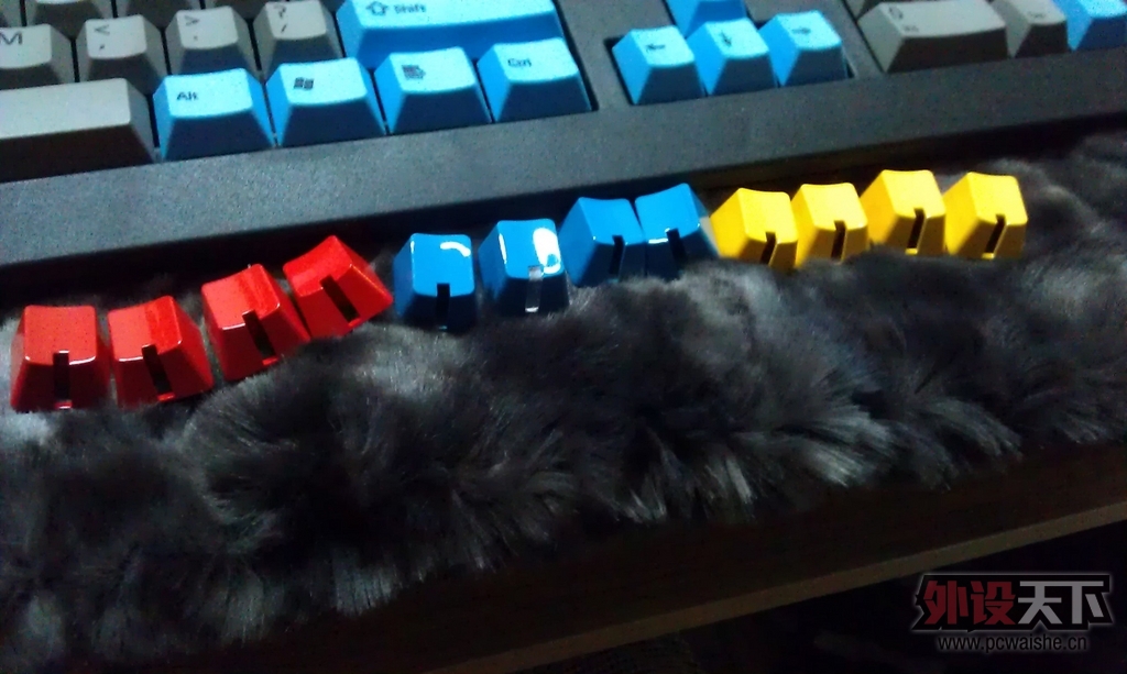 IMAG0295.jpg