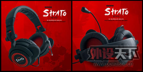 ���ֽ�������������ʲô������