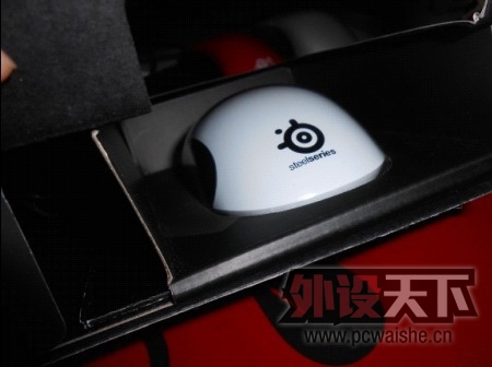 [17P] ��kinzu  ��������,