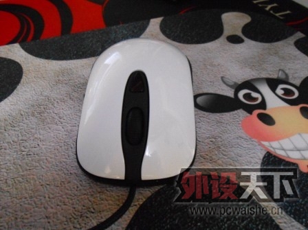 [17P] ��kinzu  ��������,