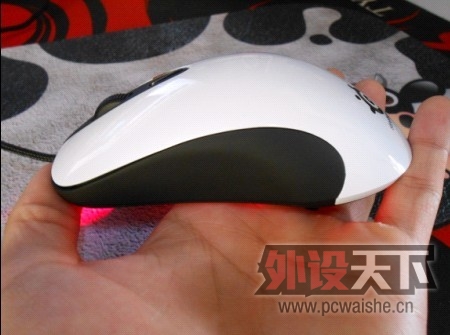 [17P] ��kinzu  ��������,