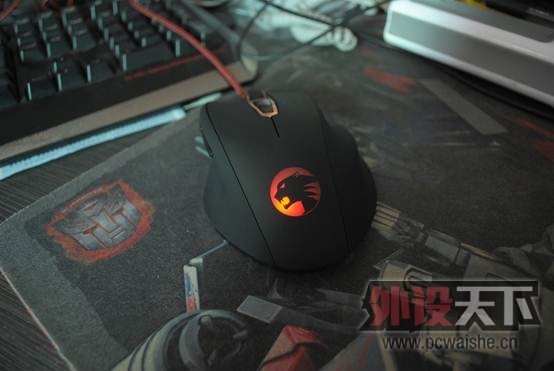 �Ա���û�¸ɣ��Ұ�Ħ��V7��β�Ƹ�����