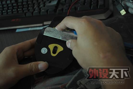 �Ա���û�¸ɣ��Ұ�Ħ��V7��β�Ƹ�����