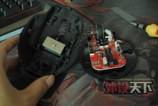�Ա���û�¸ɣ��Ұ�Ħ��V7��β�Ƹ�����
