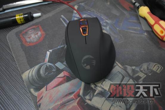 �Ա���û�¸ɣ��Ұ�Ħ��V7��β�Ƹ�����