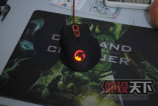 ��ȡ�����ѹ⣬ʡǮ���գ���������������