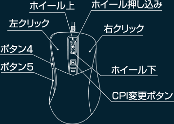 DHARMA POINT  DRTCM 37/38 ʼԤԼ12·ۡ