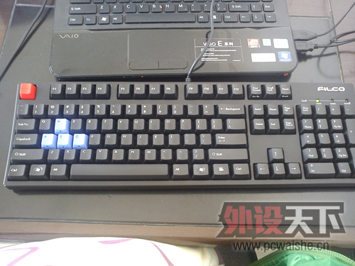 DSC00687_.jpg
